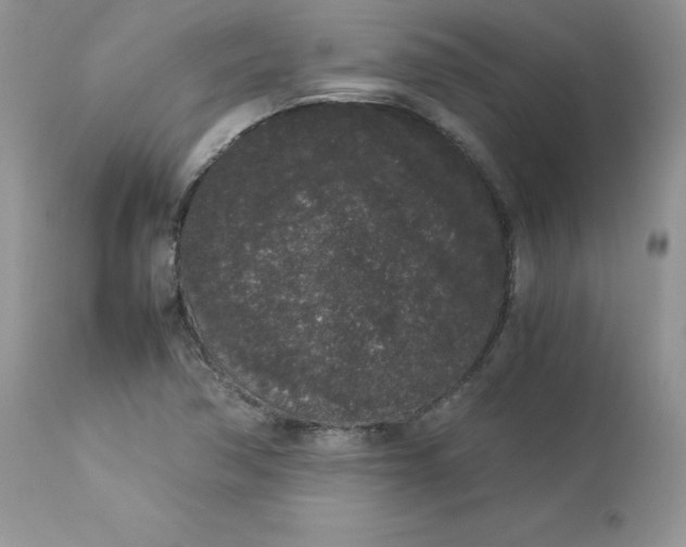 X0000112851362200909111435