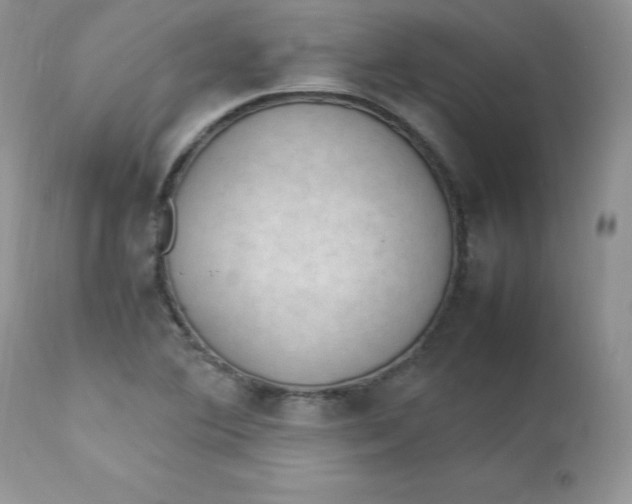 X0000112851364200909111435