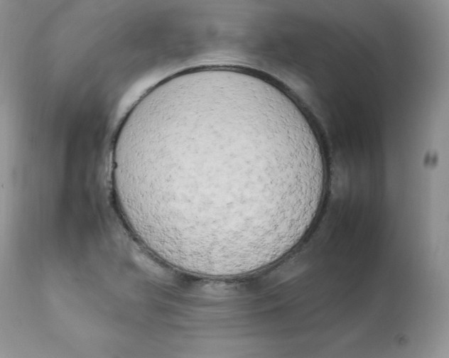 X0000112851366200909111435