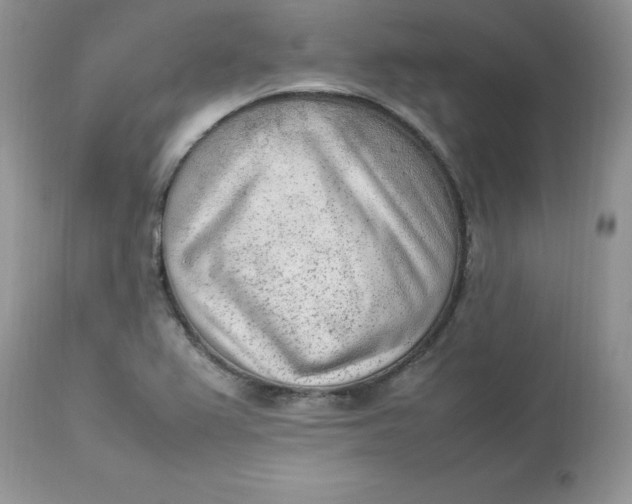 X0000112851367200909111435