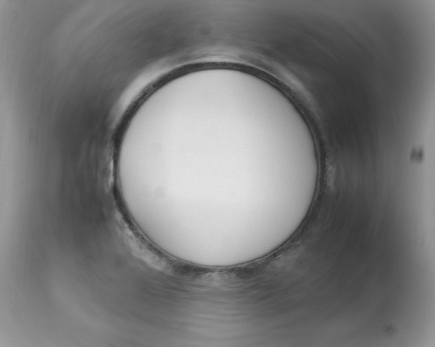 X0000112851368200909111435