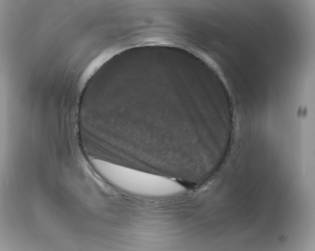 X0000112851373200909111435