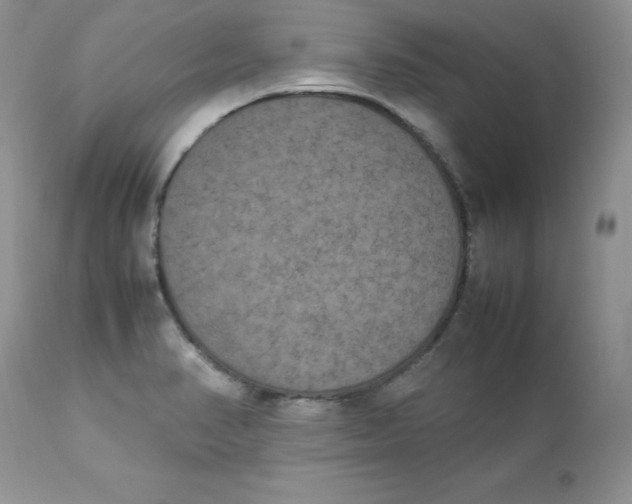 X0000112851374200909111435