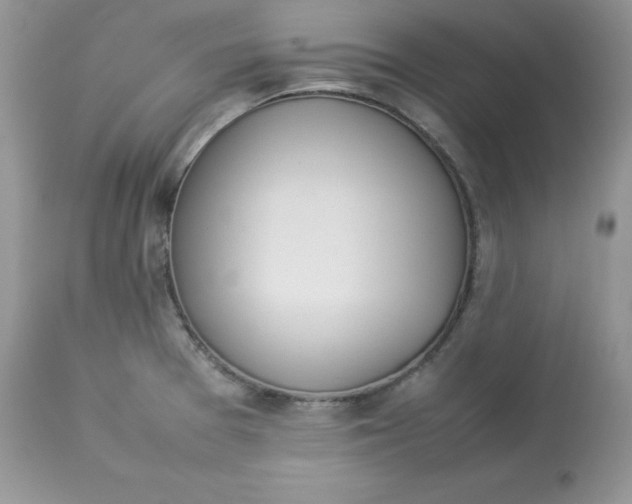 X0000112851377200909111435