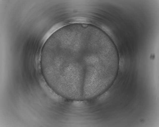 X0000112851378200909111435