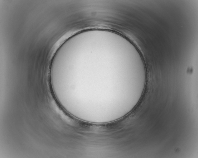 X0000112851379200909111435