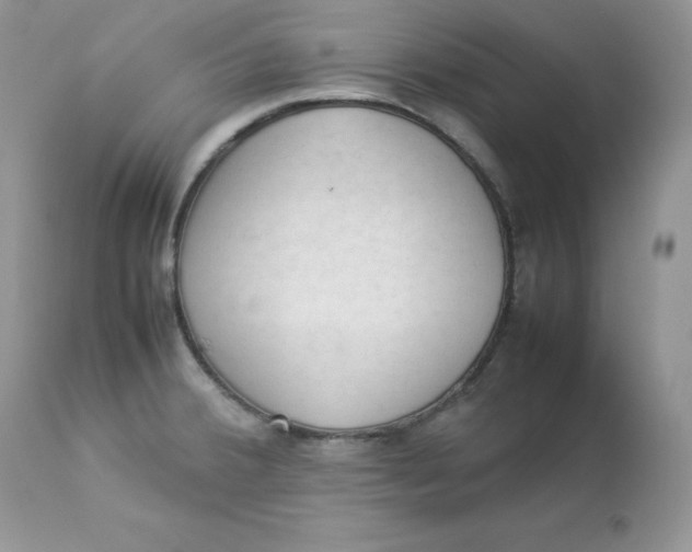 X0000112851380200909111435