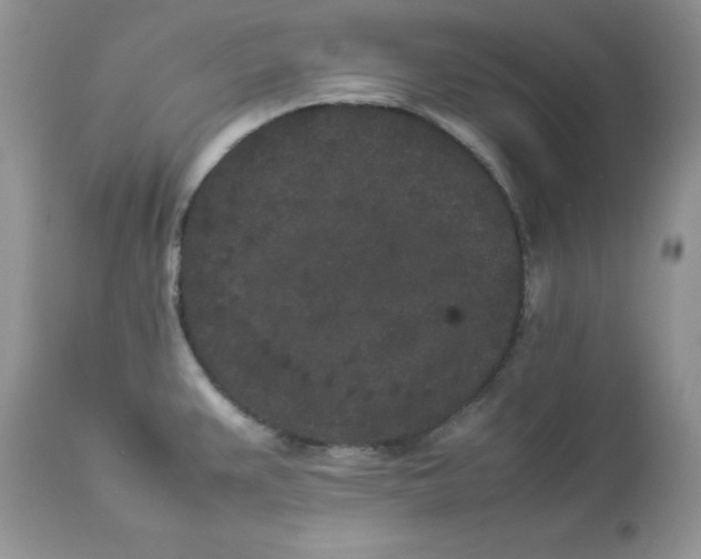 X0000112851383200909111435