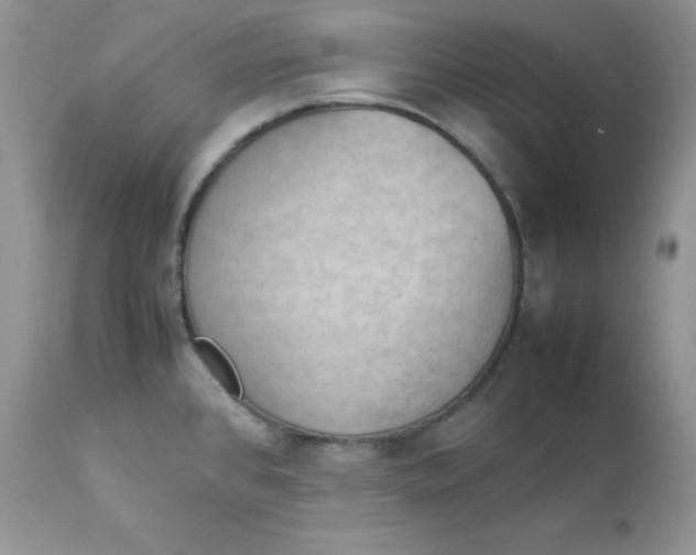 X0000112851384200909111435