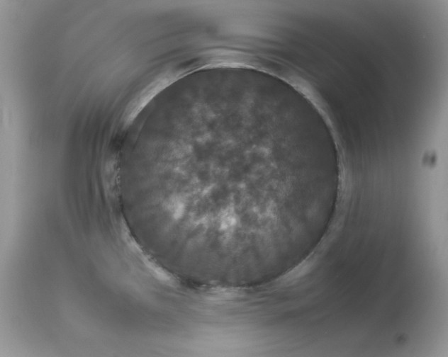 X0000112851385200909111435