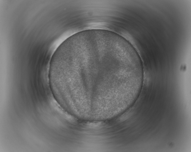 X0000112851386200909111435