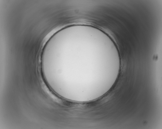 X0000112851387200909111435