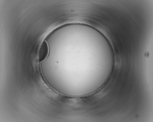 X0000112851388200909111435