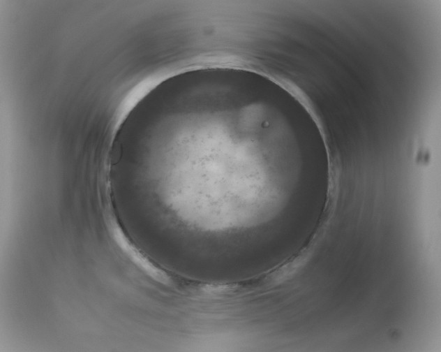 X0000112851389200909111435