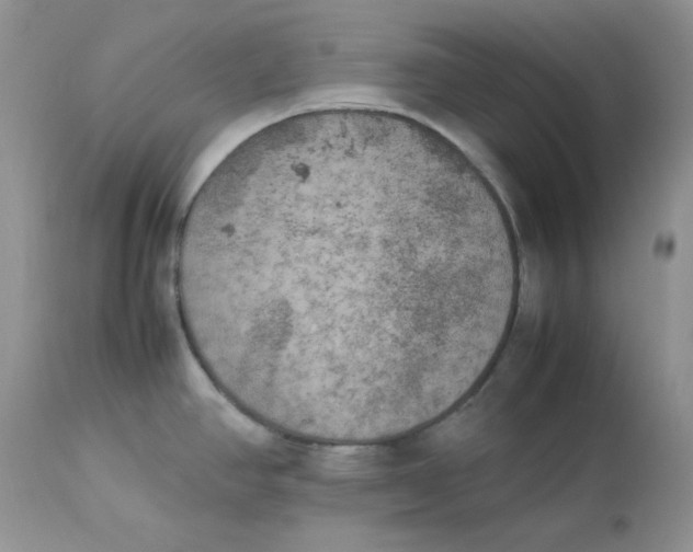 X0000112851390200909111435