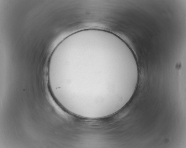 X0000112851391200909111435