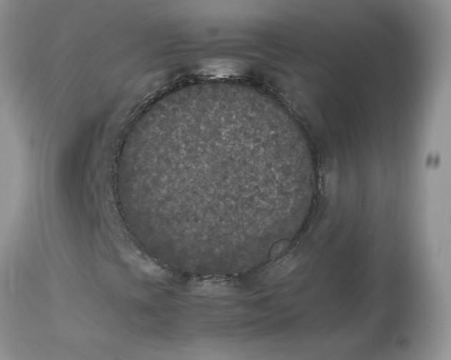 X0000112851393200909111434