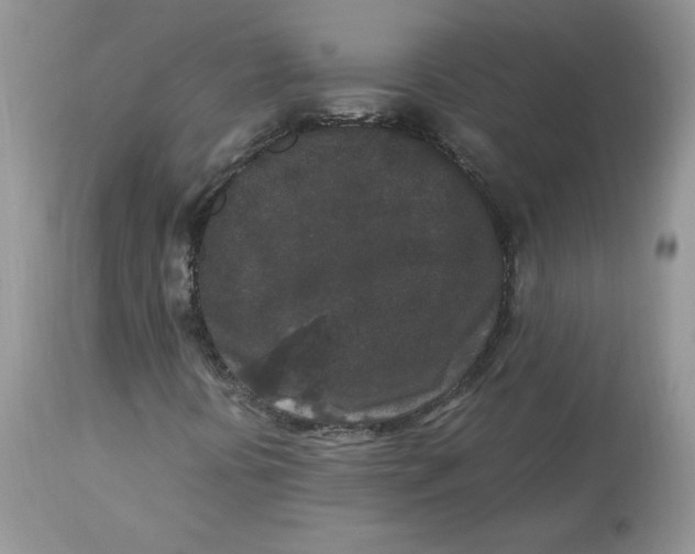 X0000112851394200909111434