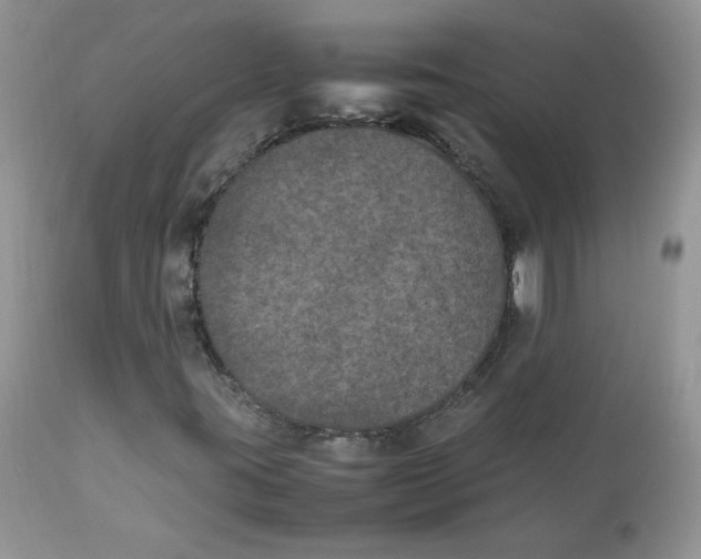 X0000112851395200909111434