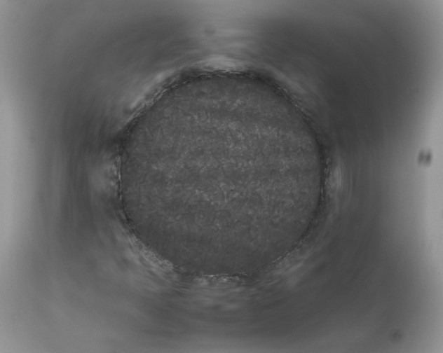 X0000112851397200909111434