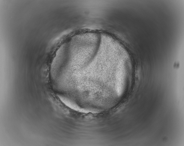 X0000112851398200909111434