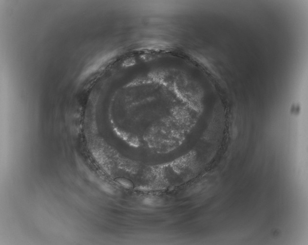 X0000112851399200909111434