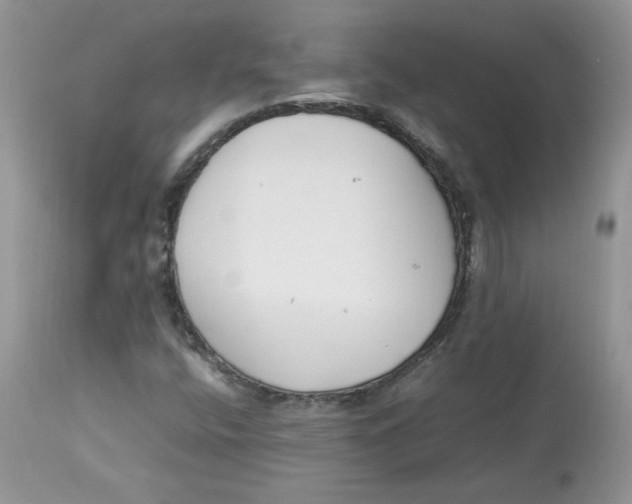 X0000112851400200909111434