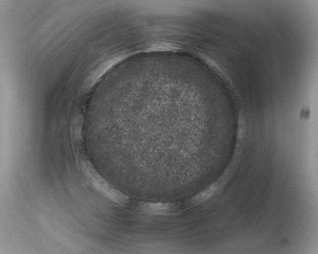 X0000112851401200909111434