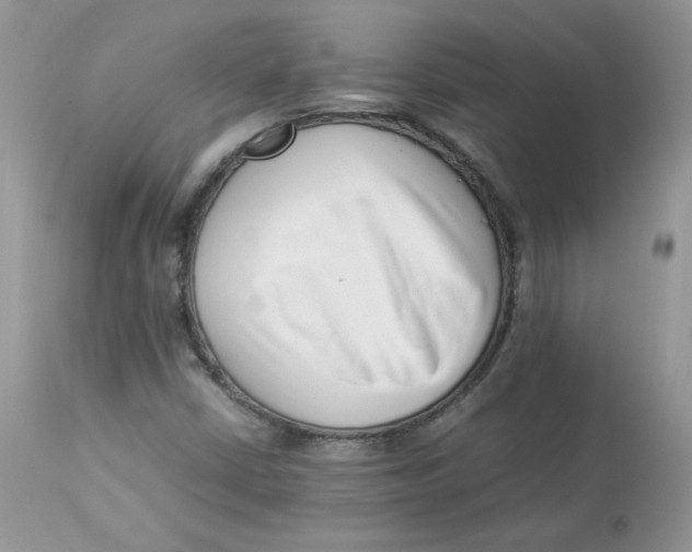 X0000112851402200909111434