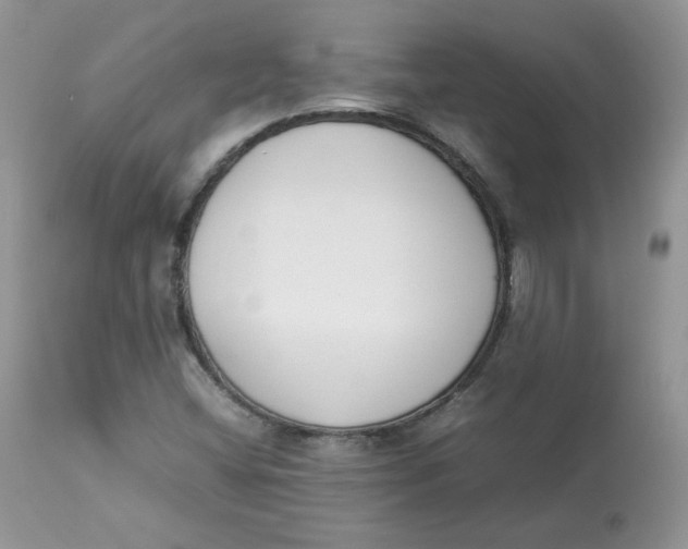 X0000112851404200909111434