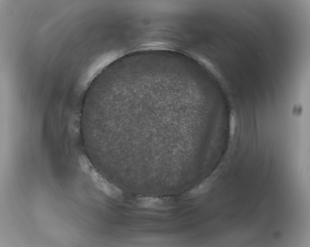 X0000112851405200909111434