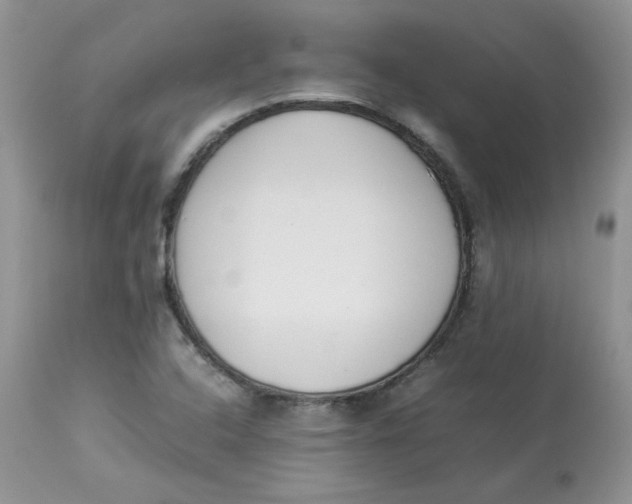 X0000112851408200909111434