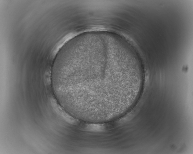 X0000112851409200909111434