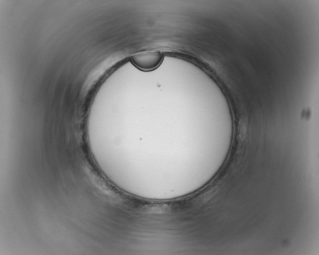 X0000112851410200909111434