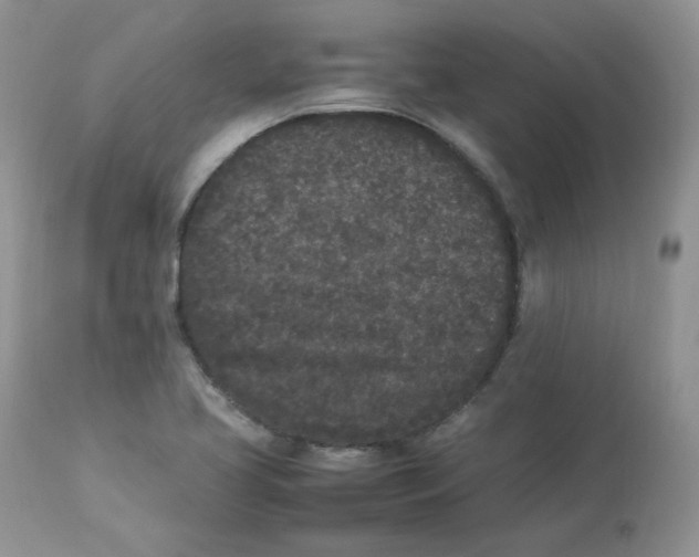 X0000112851413200909111435