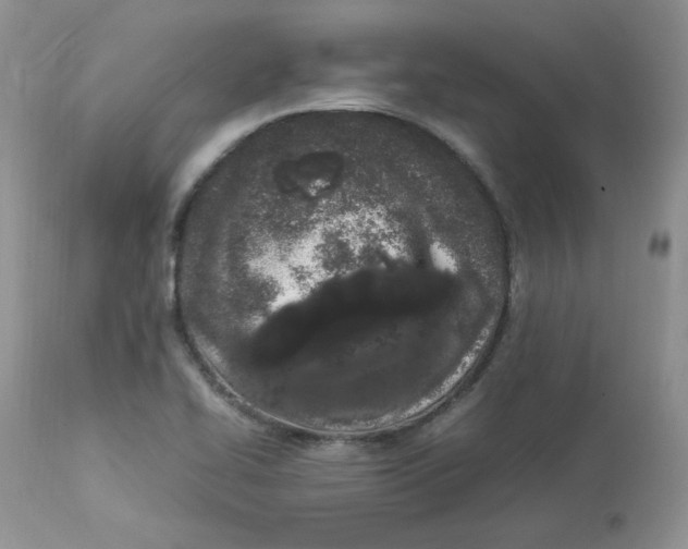 X0000112851414200909111435