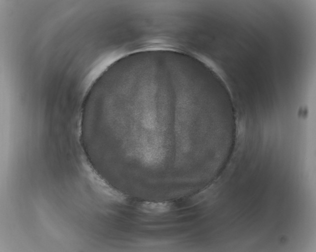 X0000112851415200909111435