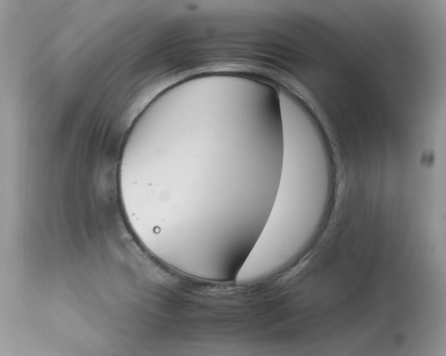 X0000112851417200909111435