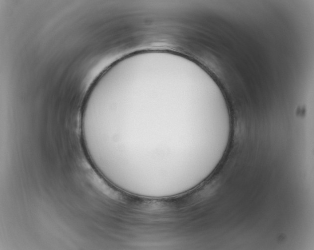 X0000112851420200909111435