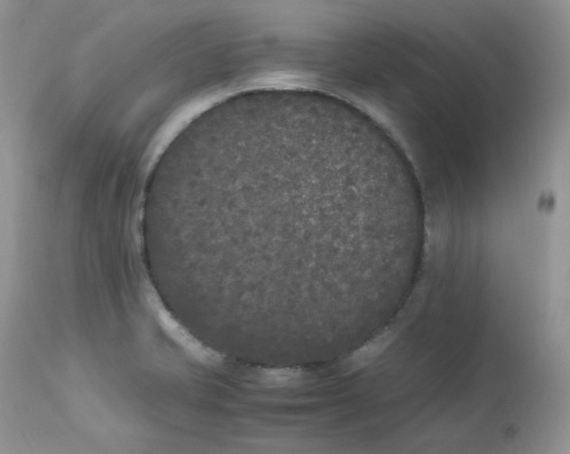 X0000112851421200909111435