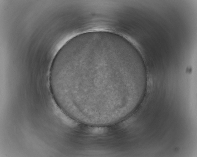 X0000112851423200909111435