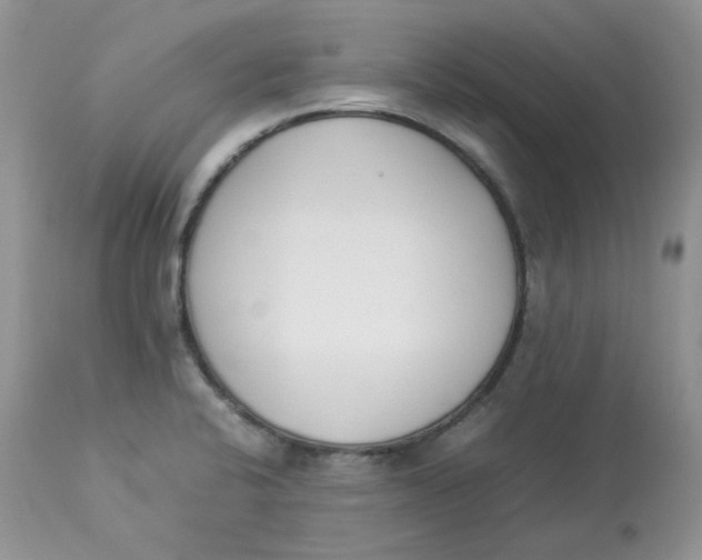 X0000112851424200909111435