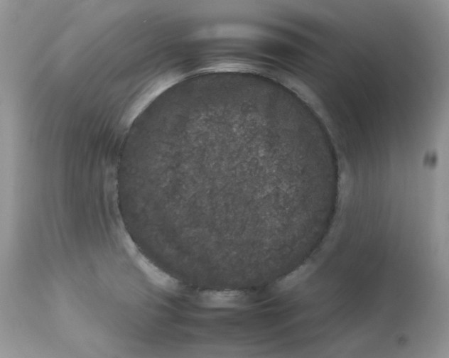 X0000112851425200909111435