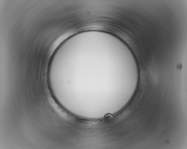 X0000112851426200909111435