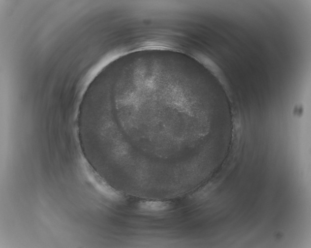 X0000112851427200909111435