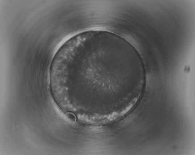 X0000112851428200909111435