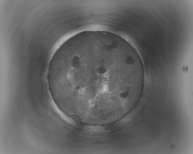 X0000112851429200909111435