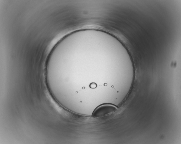 X0000112851430200909111435