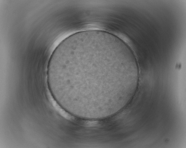 X0000112851431200909111435