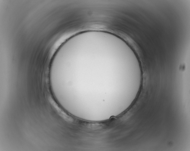 X0000112851432200909111435